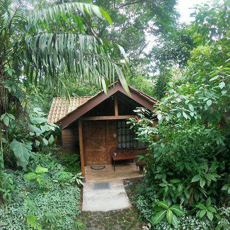 Arenal Oasis Eco Lodge & Wildlife Refuge La Fortuna Exterior foto