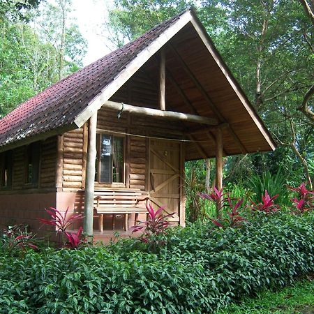 Arenal Oasis Eco Lodge & Wildlife Refuge La Fortuna Exterior foto