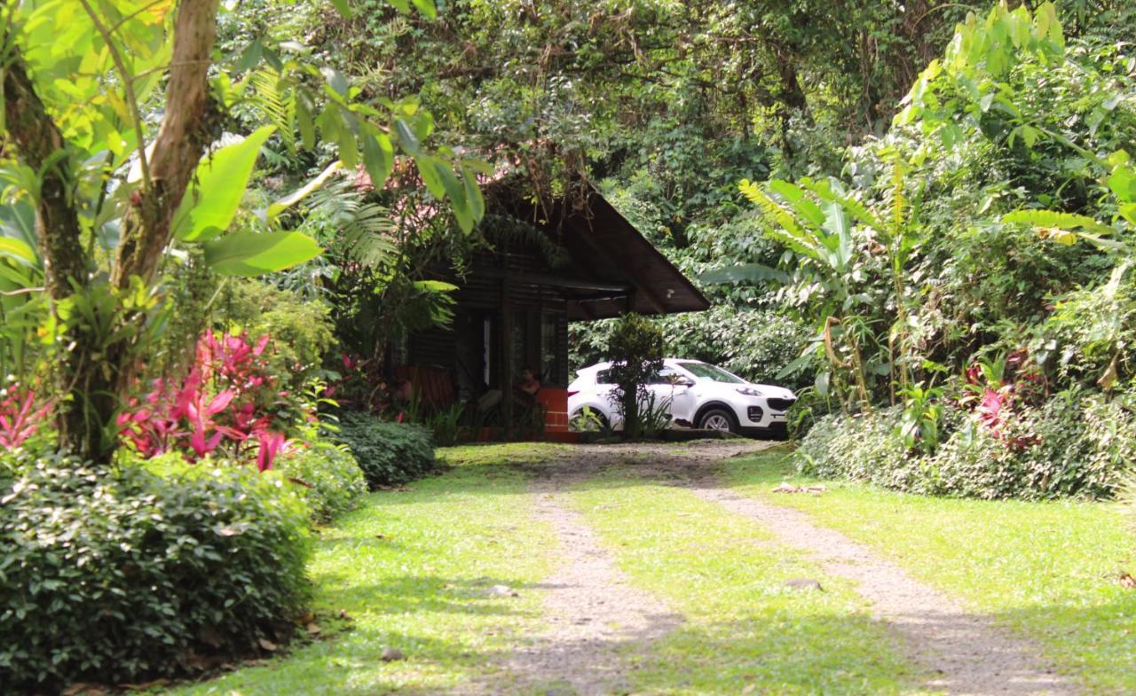 Arenal Oasis Eco Lodge & Wildlife Refuge La Fortuna Exterior foto