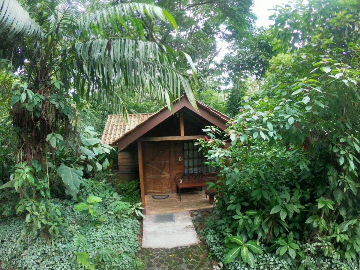 Arenal Oasis Eco Lodge & Wildlife Refuge La Fortuna Exterior foto