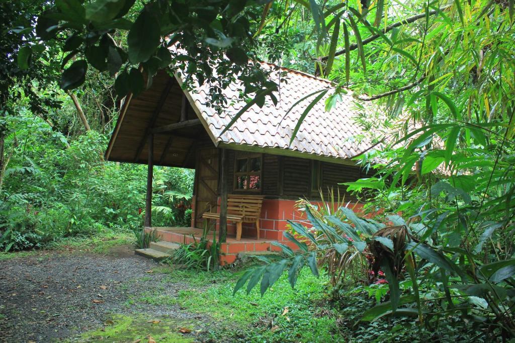 Arenal Oasis Eco Lodge & Wildlife Refuge La Fortuna Habitación foto