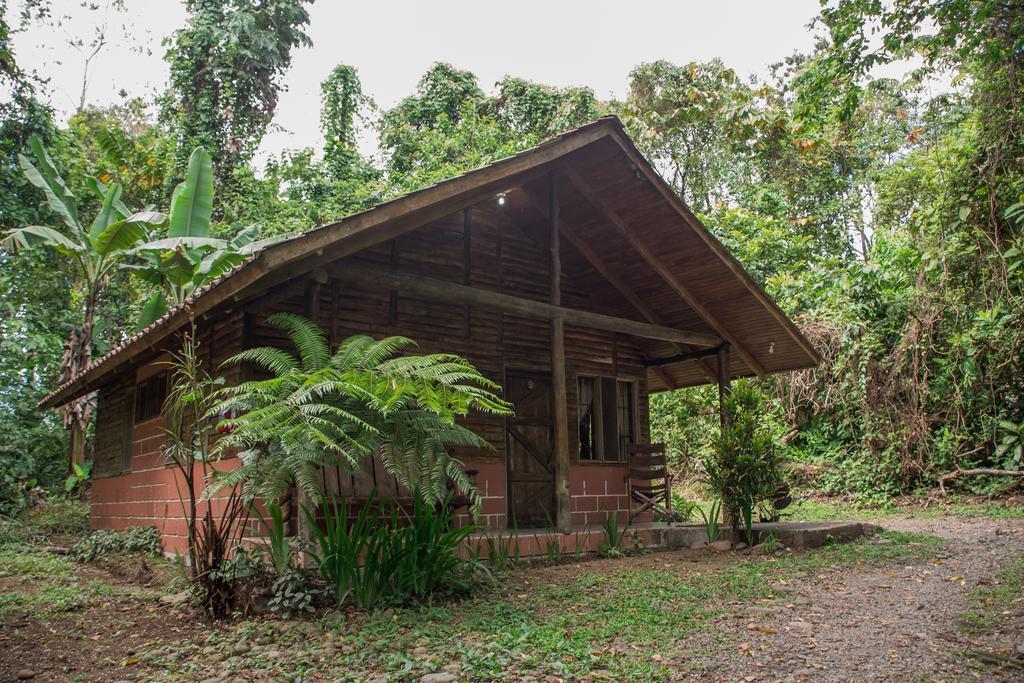 Arenal Oasis Eco Lodge & Wildlife Refuge La Fortuna Exterior foto